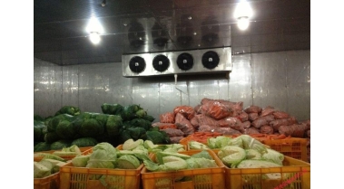蔬菜水果保鲜冷库